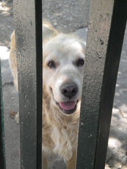 Uno de nuestros huÃ©spedes